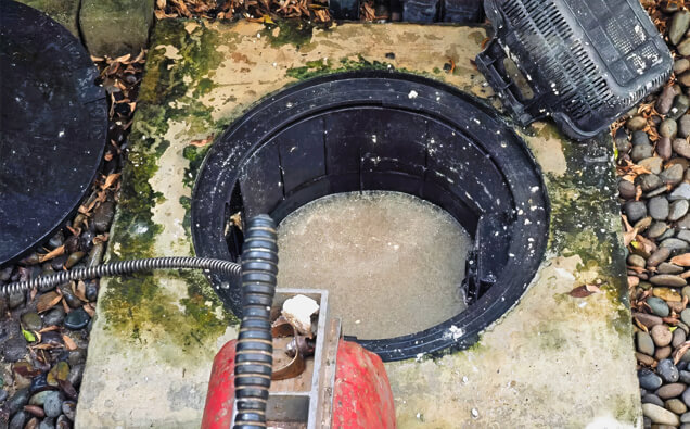 https://plumbernedlands.com.au/uploads/2025/06/blocked-drains-820453.jpg